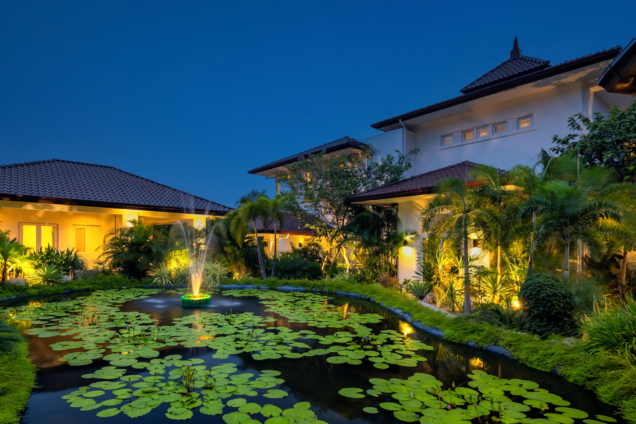 Garden lotus pond at dusk